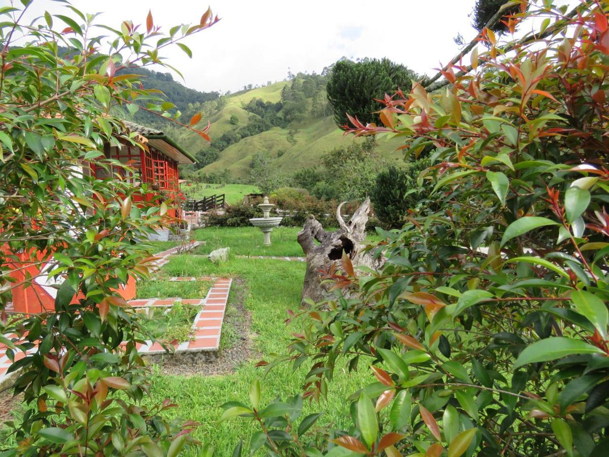 Ecohotel Pinohermoso Reserva Natural 살렌토 외부 사진
