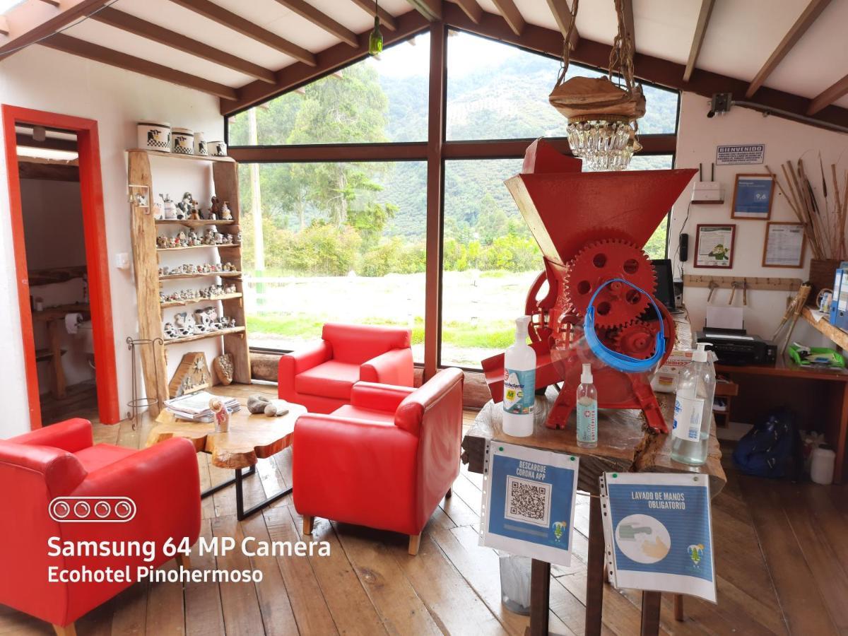 Ecohotel Pinohermoso Reserva Natural 살렌토 외부 사진