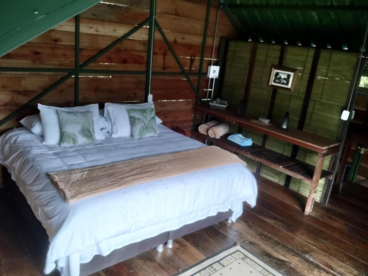 Ecohotel Pinohermoso Reserva Natural 살렌토 외부 사진