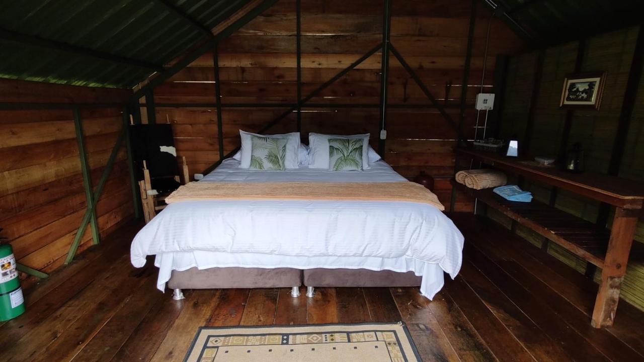 Ecohotel Pinohermoso Reserva Natural 살렌토 외부 사진