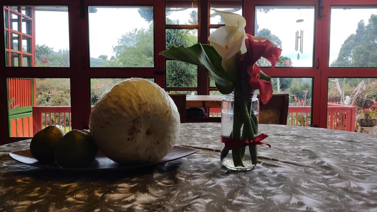 Ecohotel Pinohermoso Reserva Natural 살렌토 외부 사진