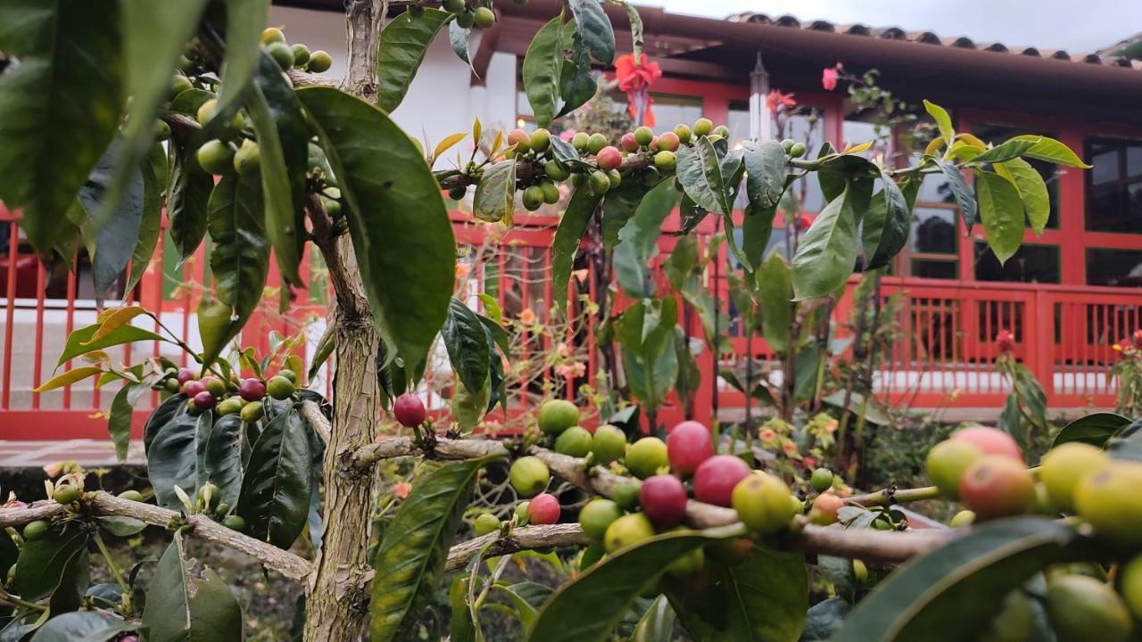 Ecohotel Pinohermoso Reserva Natural 살렌토 외부 사진