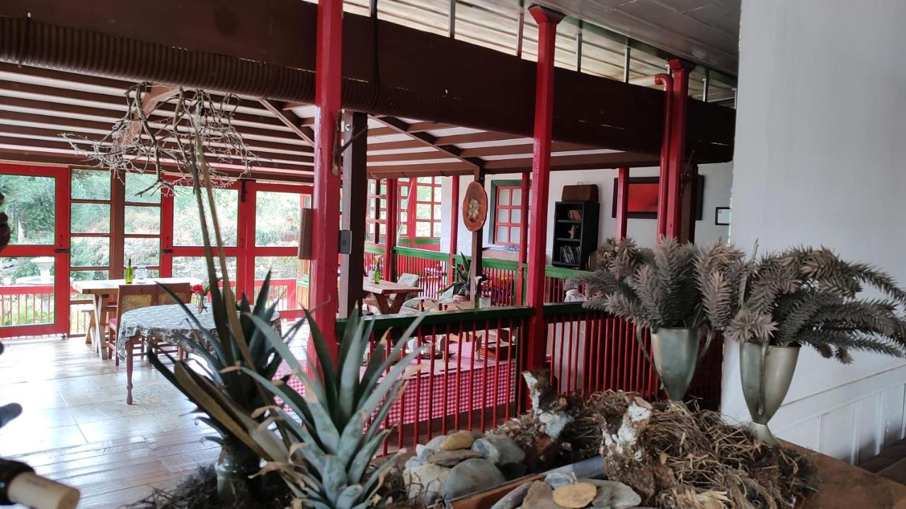 Ecohotel Pinohermoso Reserva Natural 살렌토 외부 사진