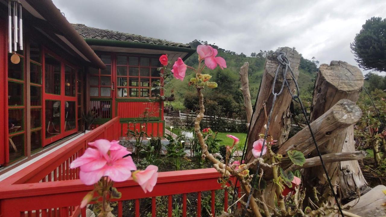 Ecohotel Pinohermoso Reserva Natural 살렌토 외부 사진