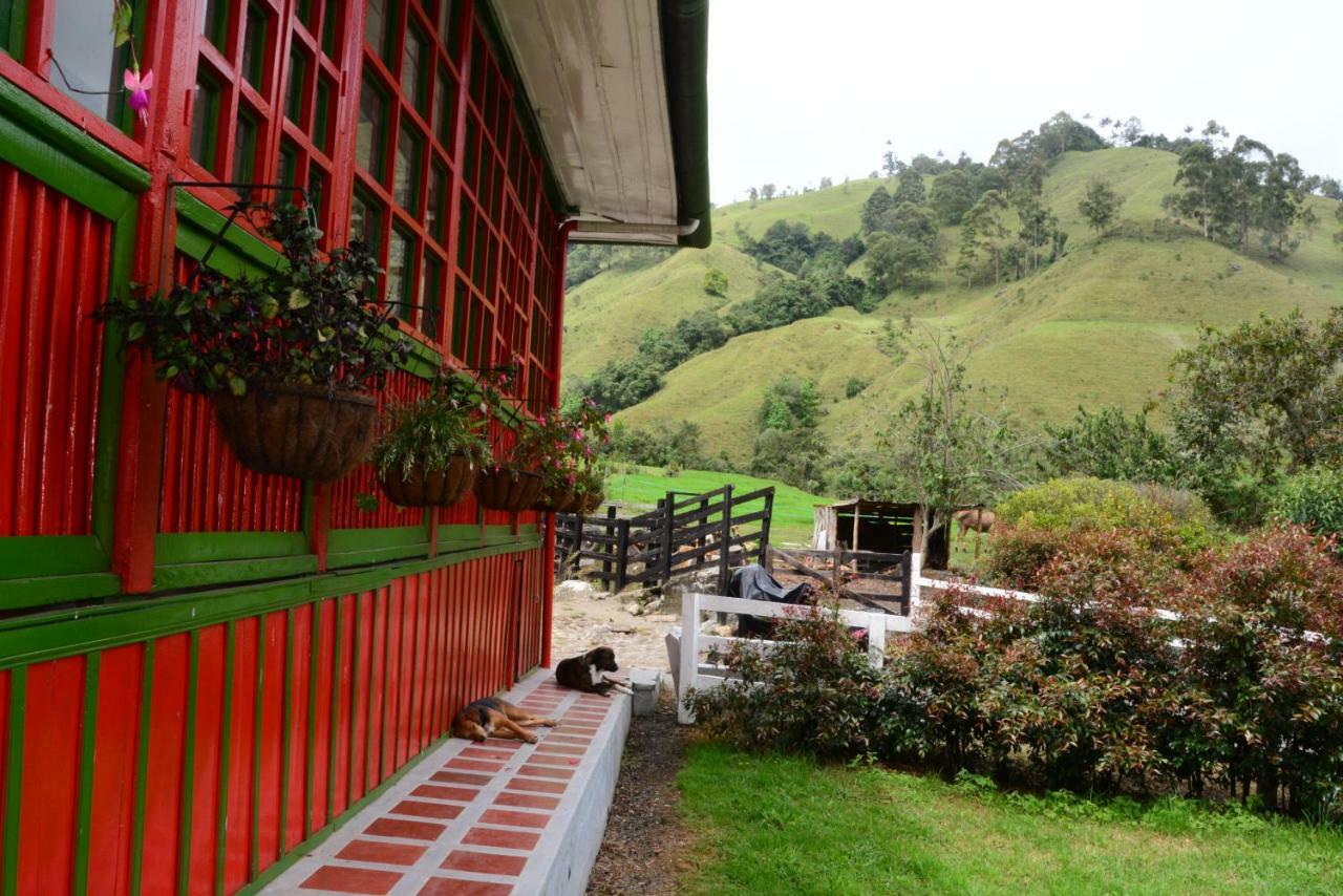 Ecohotel Pinohermoso Reserva Natural 살렌토 외부 사진