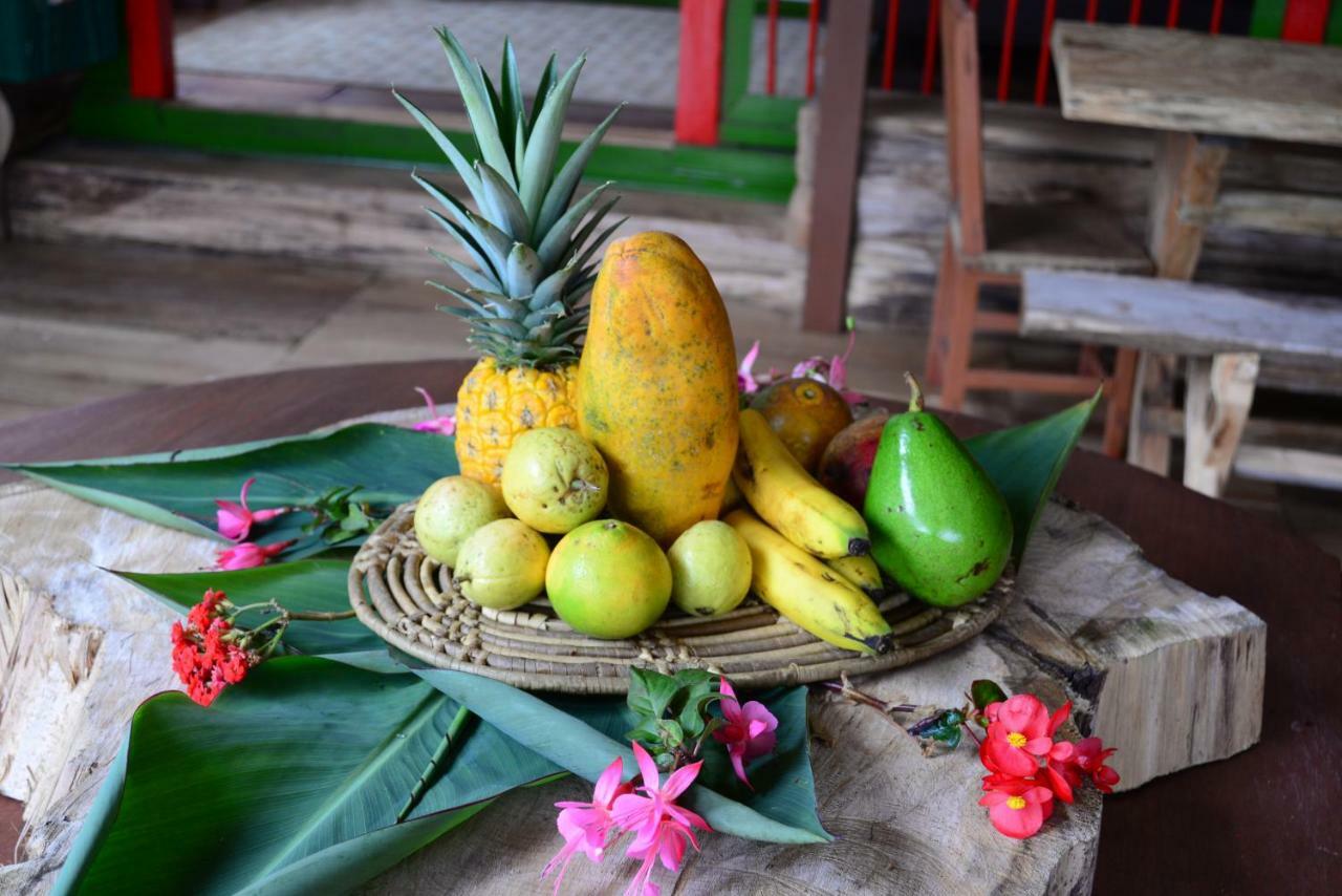 Ecohotel Pinohermoso Reserva Natural 살렌토 외부 사진