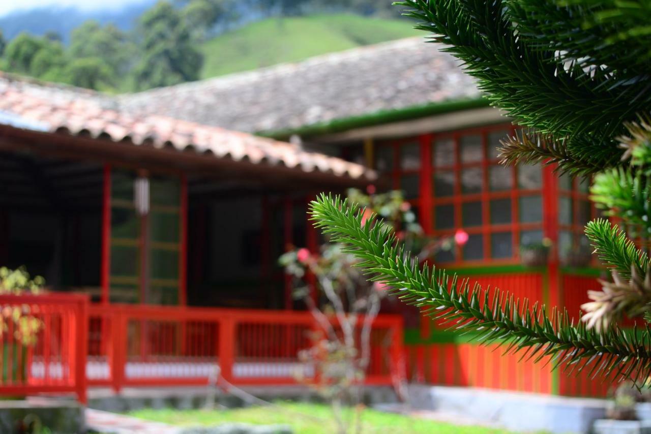 Ecohotel Pinohermoso Reserva Natural 살렌토 외부 사진