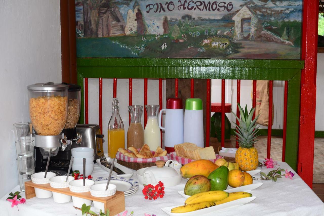 Ecohotel Pinohermoso Reserva Natural 살렌토 외부 사진