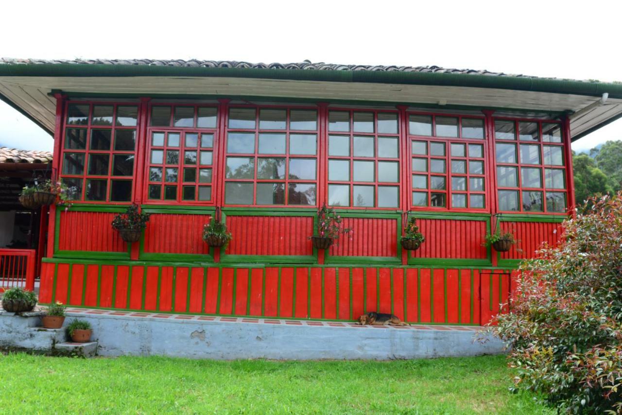 Ecohotel Pinohermoso Reserva Natural 살렌토 외부 사진