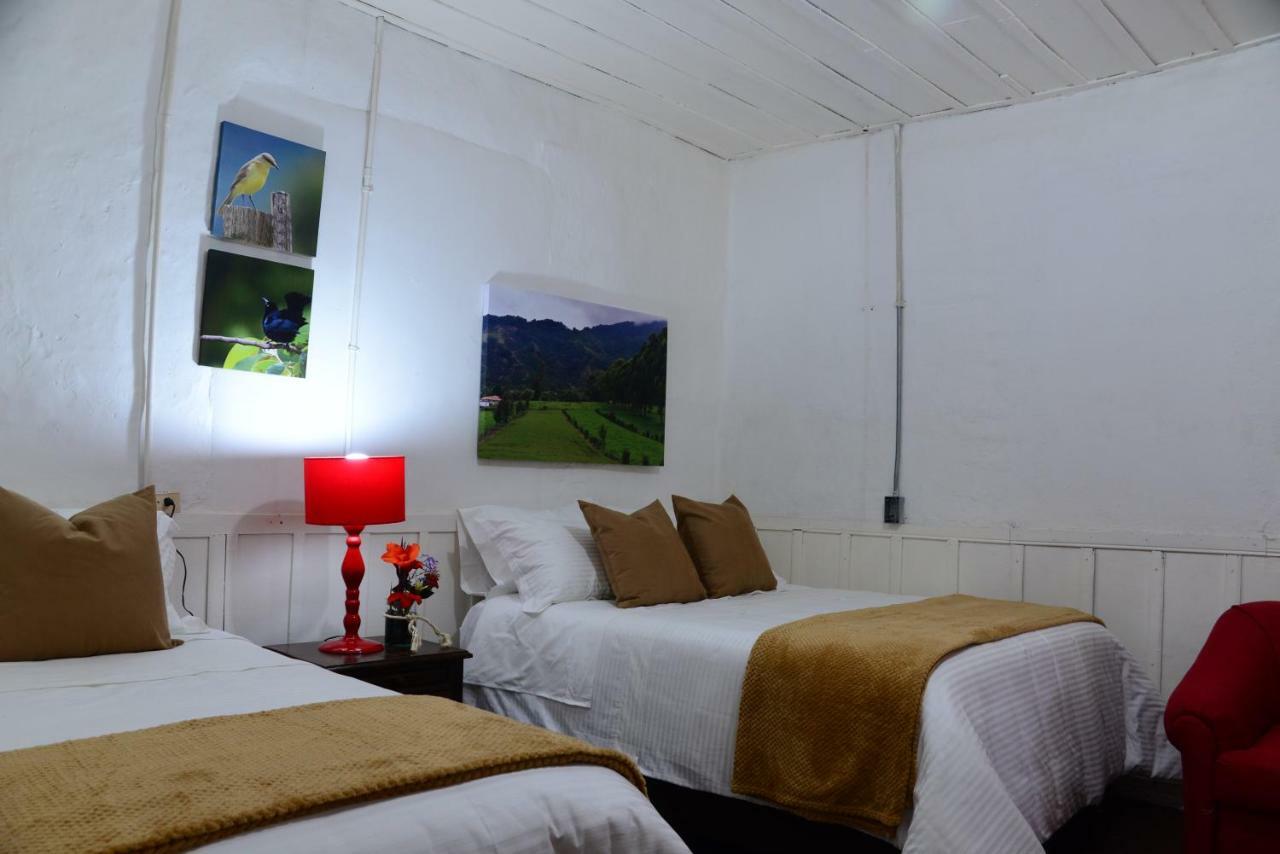 Ecohotel Pinohermoso Reserva Natural 살렌토 외부 사진