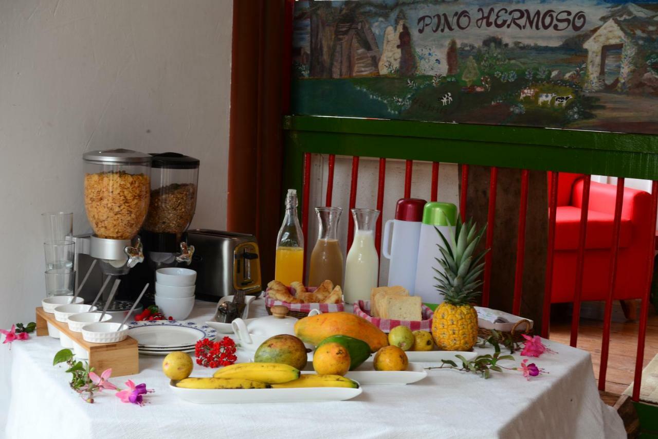 Ecohotel Pinohermoso Reserva Natural 살렌토 외부 사진