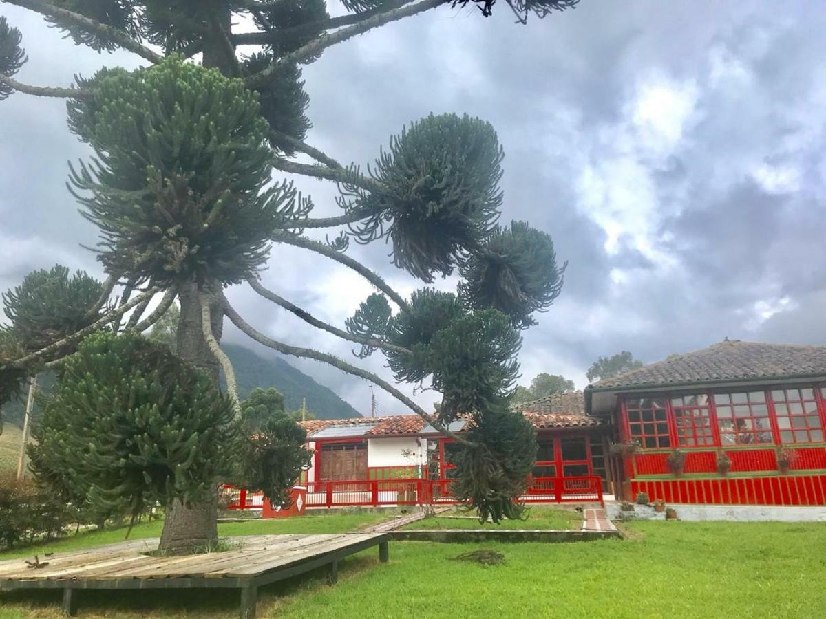 Ecohotel Pinohermoso Reserva Natural 살렌토 외부 사진