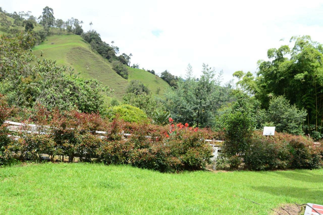 Ecohotel Pinohermoso Reserva Natural 살렌토 외부 사진
