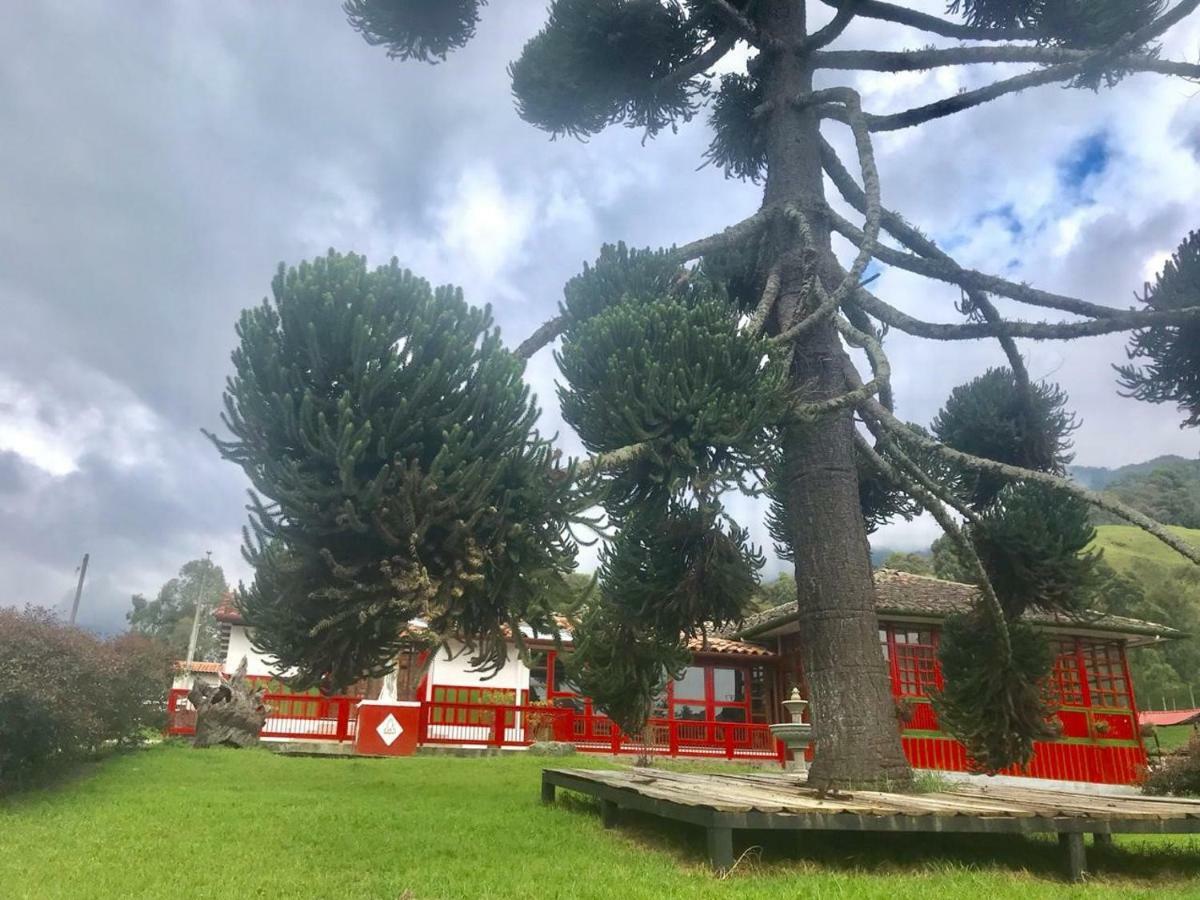 Ecohotel Pinohermoso Reserva Natural 살렌토 외부 사진