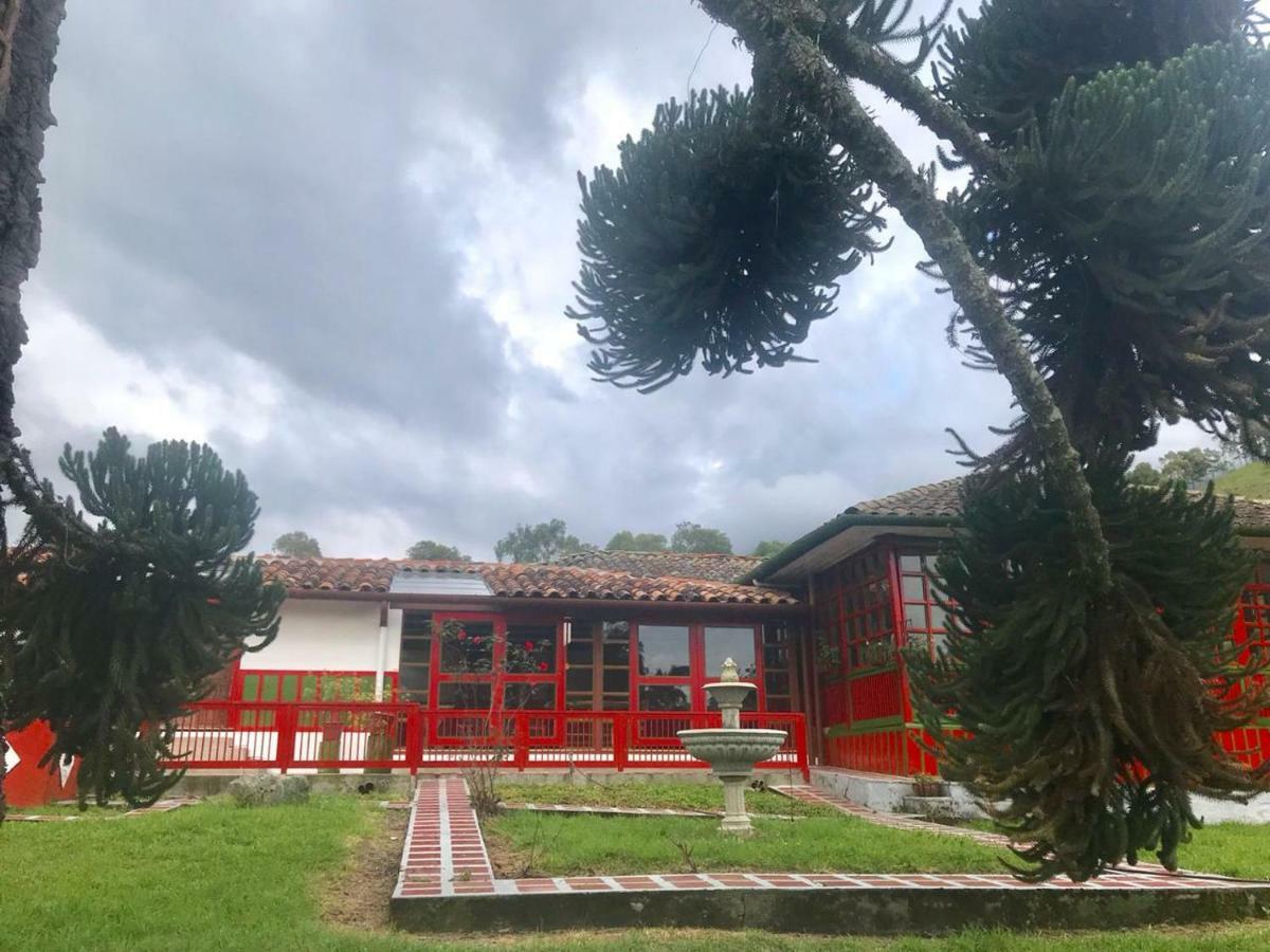 Ecohotel Pinohermoso Reserva Natural 살렌토 외부 사진