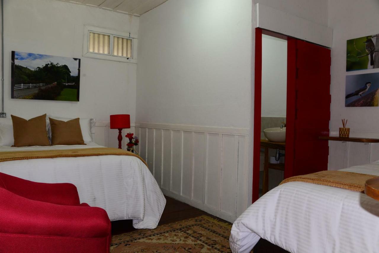 Ecohotel Pinohermoso Reserva Natural 살렌토 외부 사진