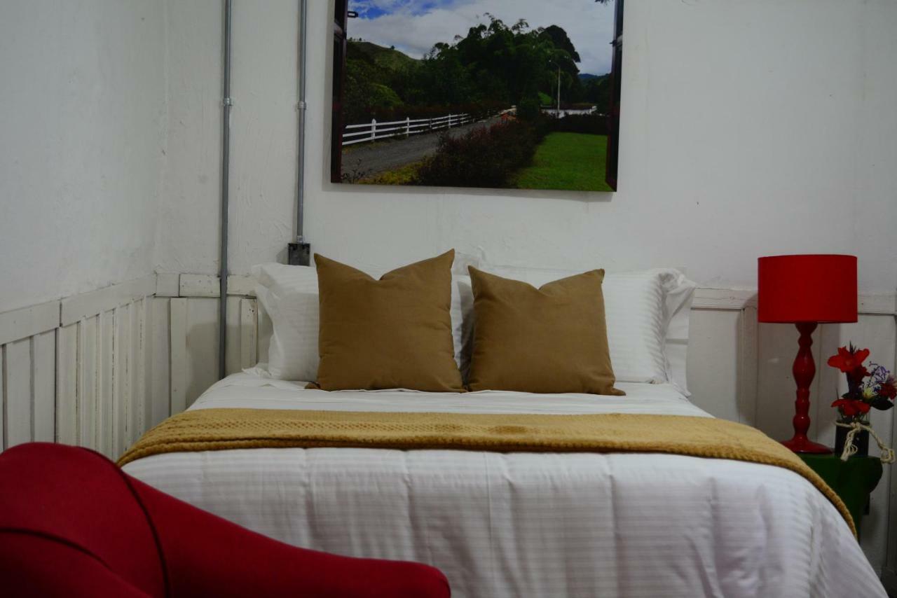 Ecohotel Pinohermoso Reserva Natural 살렌토 외부 사진